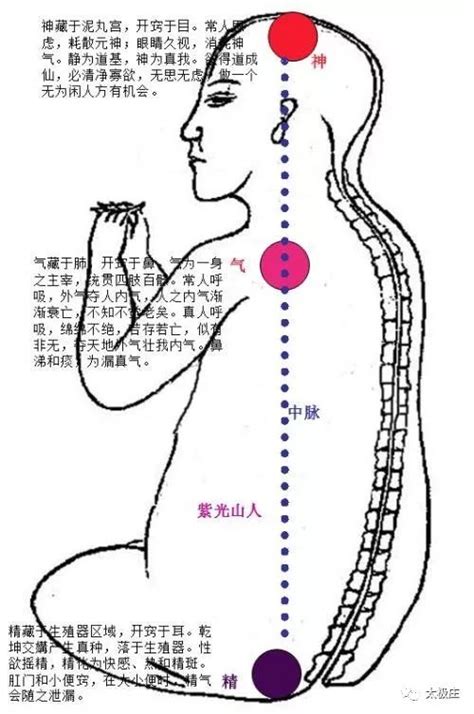 玄关穴|道教指南－道学入门－丹道秘旨——玄关一窍